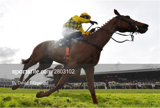 Punchestown Festival - Day Two