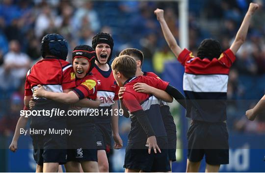 Bank of Ireland Half-Time Minis at Leinster v Ospreys - United Rugby Championship