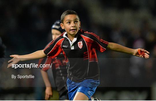 Half-Time Mini Games at Leinster v Cardiff Blues - Celtic League 2013/14 Round 4
