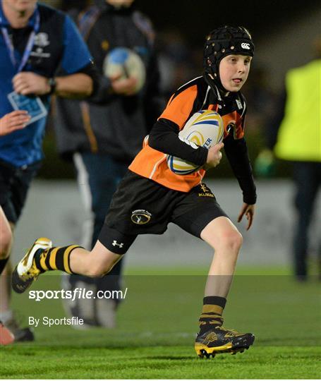 Half-Time Mini Games at Leinster v Cardiff Blues - Celtic League 2013/14 Round 4