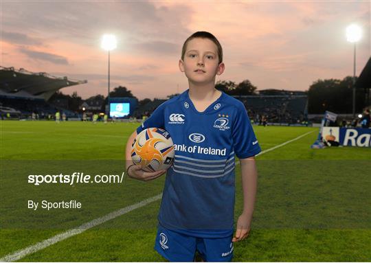 Mascots at Leinster v Cardiff Blues - Celtic League 2013/14 Round 4