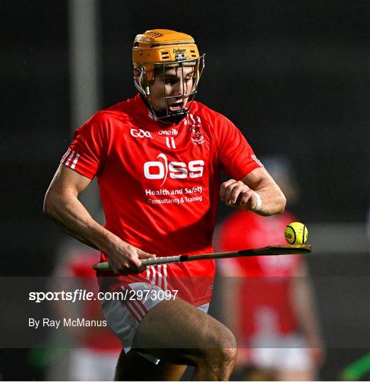 Na Piarsaigh v Doon - Limerick County Senior Club Hurling Championship Final Na Piarsaigh v Doon - Limerick County Senior Club Hurling Championship Final