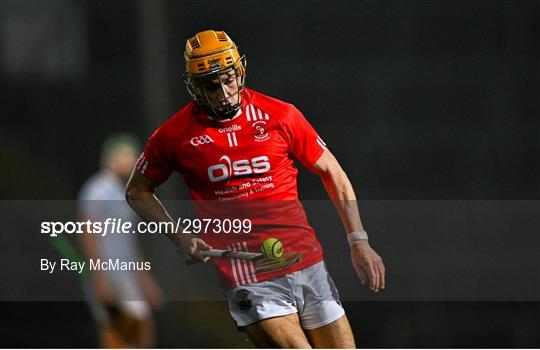 Na Piarsaigh v Doon - Limerick County Senior Club Hurling Championship Final