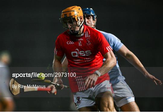Na Piarsaigh v Doon - Limerick County Senior Club Hurling Championship Final Na Piarsaigh v Doon - Limerick County Senior Club Hurling Championship Final