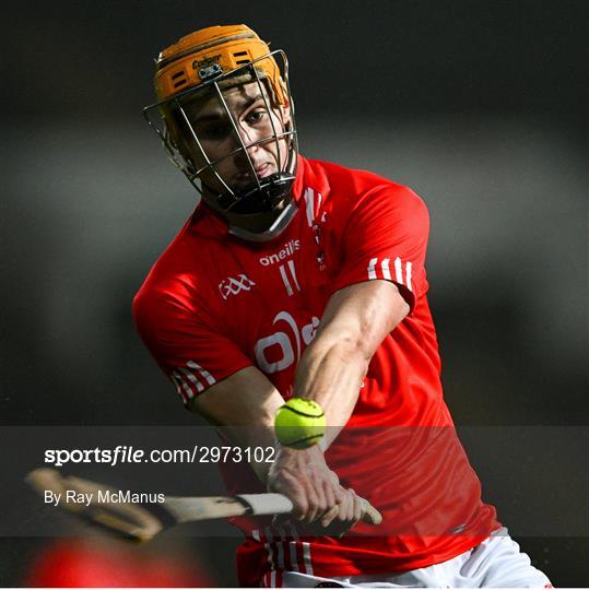 Na Piarsaigh v Doon - Limerick County Senior Club Hurling Championship Final Na Piarsaigh v Doon - Limerick County Senior Club Hurling Championship Final