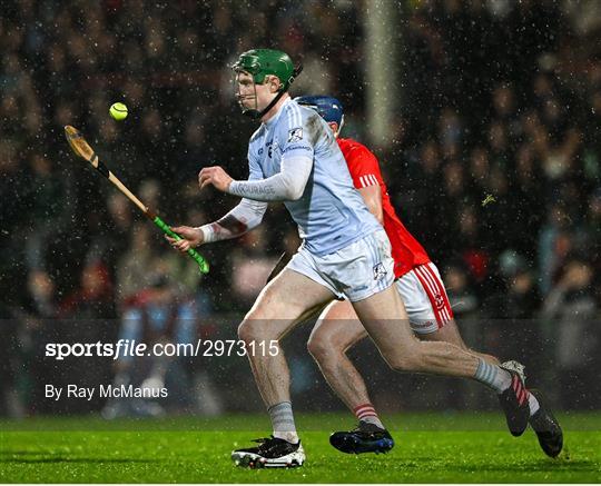 Na Piarsaigh v Doon - Limerick County Senior Club Hurling Championship Final