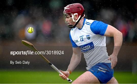 Waterford v Cork - Intercounty Hurling Challenge Match Waterford v Cork - Intercounty Hurling Challenge Match