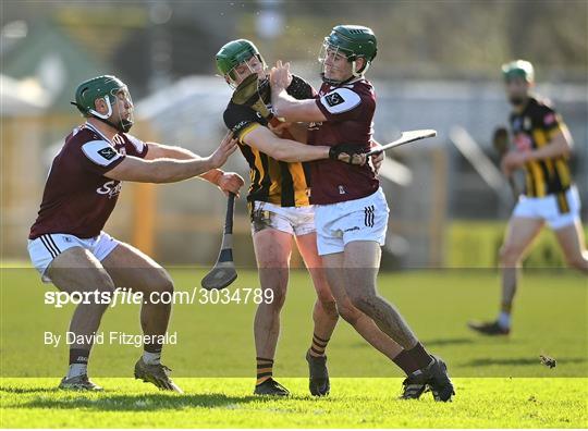 Kilkenny v Galway - Allianz Hurling League Division 1A Kilkenny v Galway - Allianz Hurling League Division 1A