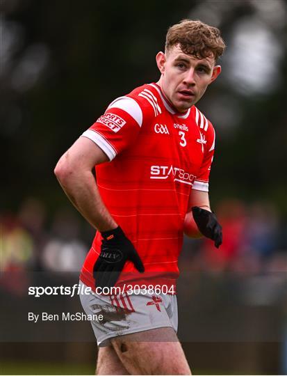 Louth v Roscommon - Allianz Football League Division 2 Louth v Roscommon - Allianz Football League Division 2