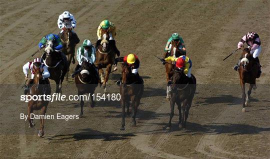 Laytown Strand Races