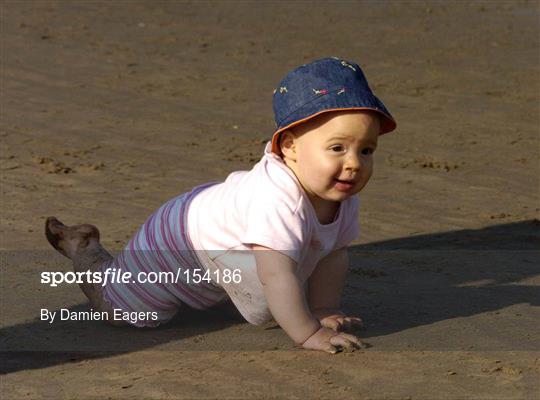 Laytown Strand Races