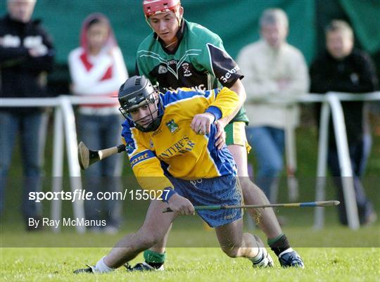 All-Ireland Hurling Sevens 2004