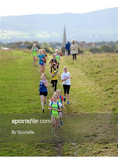 Gerry Farnan Cross Country 2013 Gerry Farnan Cross Country 2013