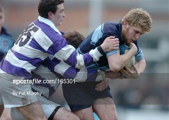 Clongowes Wood College v St. Michael's College