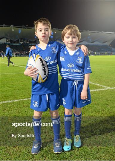 Mascots at Leinster v Scarlets - Celtic League 2013/14 Round 9