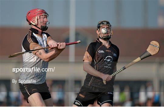 2012 Hurling All Stars v 2013 Hurling All Stars - GAA GPA All Star Tour 2013, sponsored by Opel