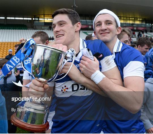 Portlaoise v St Vincent's - AIB Leinster Senior Club Football Championship Final