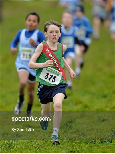 Woodie’s DIY National Novice & Even Age Cross Country Championships