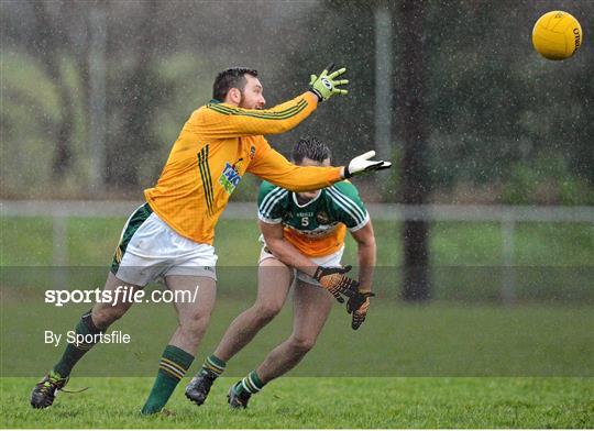 Meath v Offaly - Fitzsimons Cup Final