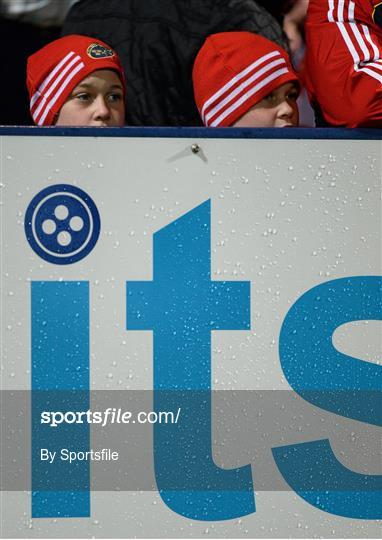 Munster v Scarlets - Celtic League 2013/14 Round 10