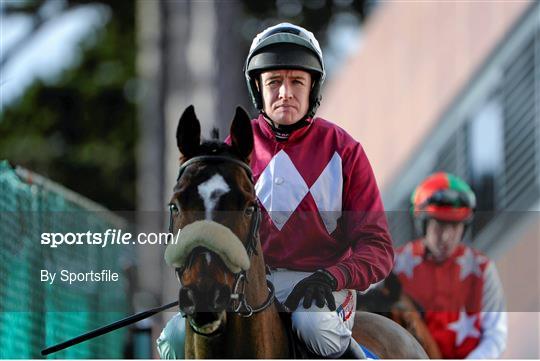 Leopardstown Christmas Racing Festival 2013 - Sunday 29th December