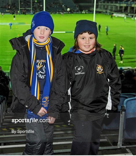 Leinster Fans at Leinster v Ulster - Celtic League 2013/14 Round 11