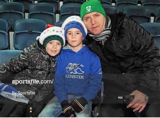 Leinster Fans at Leinster v Ulster - Celtic League 2013/14 Round 11