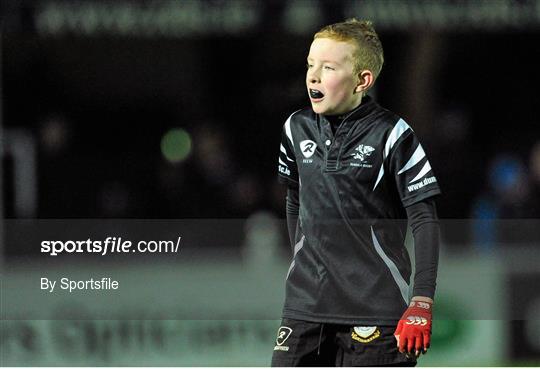 Half-Time Mini Games at Leinster v Ulster - Celtic League 2013/14 Round 11