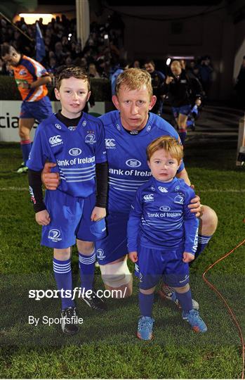 Mascots at Leinster v Ulster - Celtic League 2013/14 Round 11