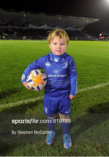 Mascots at Leinster v Ulster - Celtic League 2013/14 Round 11
