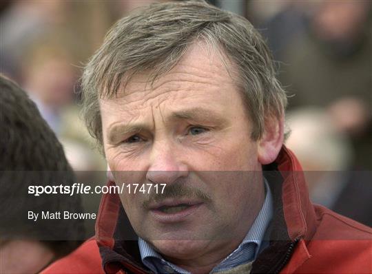 Punchestown Races Wednesday