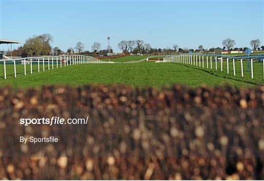 Horse Racing from Punchestown - Saturday 11th January