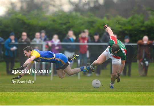 Roscommon v Mayo - FBD League Section A Round 3