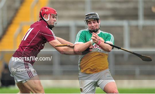 Offaly v Galway - Bord Na Mona Walsh Cup Quarter-Final