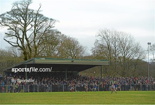 Roscommon v Mayo - FBD League Section A Round 3