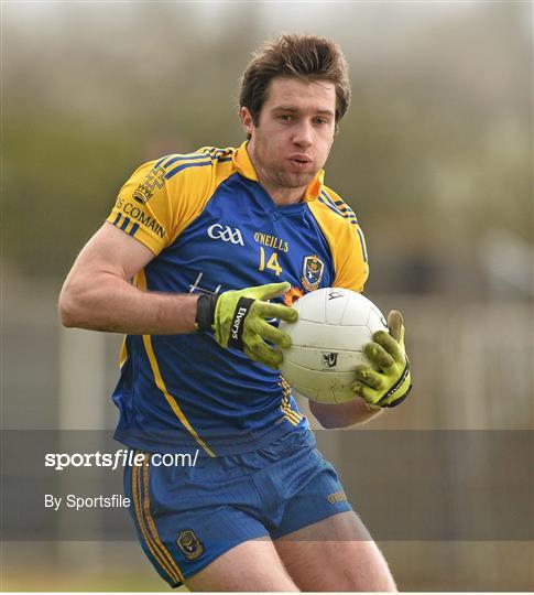 Leitrim v Roscommon - FBD League Final