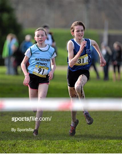 Aviva Leinster Schools Cross Country Championships