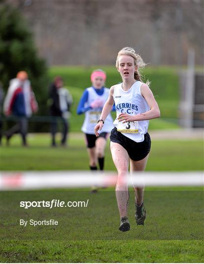 Aviva Leinster Schools Cross Country Championships