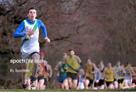 Aviva Leinster Schools Cross Country Championships