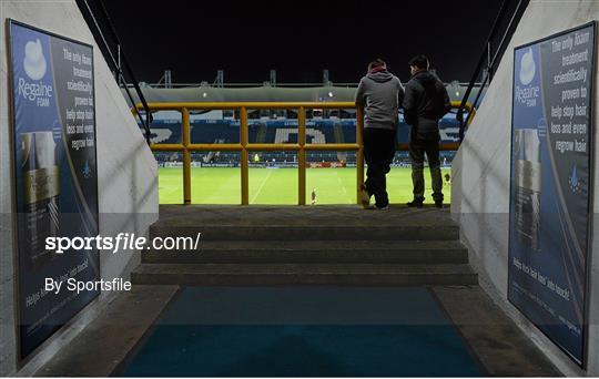 Leinster v Newport Gwent Dragons - Celtic League 2013/14 Round 14 Leinster v Newport Gwent Dragons - Celtic League 2013/14 Round 14