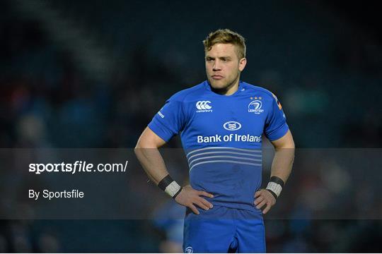 Leinster v Newport Gwent Dragons - Celtic League 2013/14 Round 14