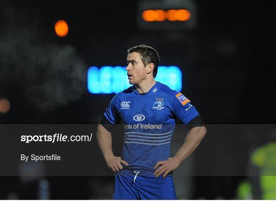 Leinster v Newport Gwent Dragons - Celtic League 2013/14 Round 14