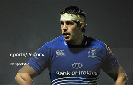 Leinster v Newport Gwent Dragons - Celtic League 2013/14 Round 14 Leinster v Newport Gwent Dragons - Celtic League 2013/14 Round 14