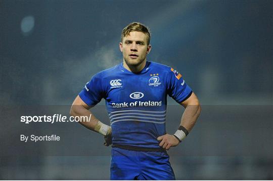 Leinster v Newport Gwent Dragons - Celtic League 2013/14 Round 14