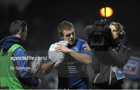 Leinster v Newport Gwent Dragons - Celtic League 2013/14 Round 14