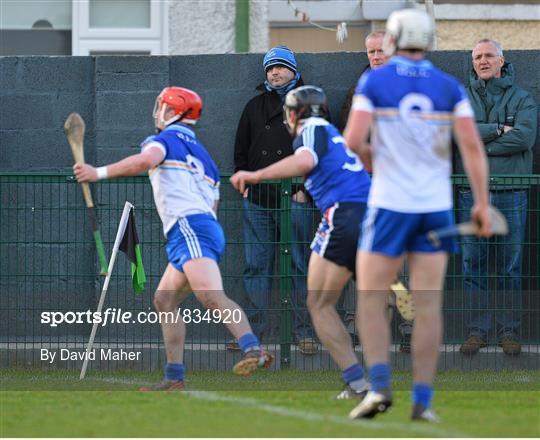Dublin Institute of Technology v Waterford Institute of Technology - Irish Daily Mail HE GAA Fitzgibbon Cup 2014 Quarter-Final