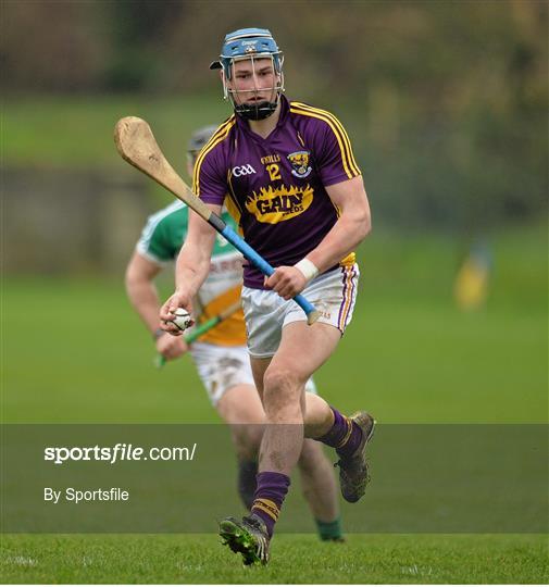 Wexford v Offaly - Allianz Hurling League Division 1B Round 2