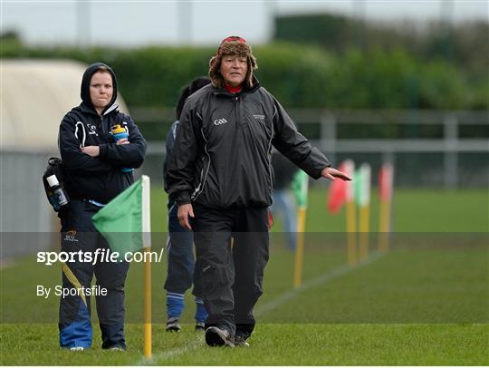 Monaghan v Dublin - Tesco HomeGrown Ladies Football National League Division 1