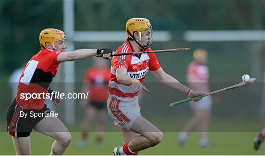 University College Cork v Cork Institute of Technology - Irish Daly Mail Fitzgibbon Cup Semi-Final