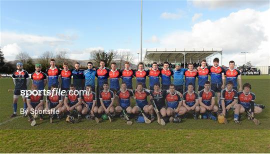 Limerick IT v Waterford Institute of Technology - Irish Daly Mail Fitzgibbon Cup Semi-Final
